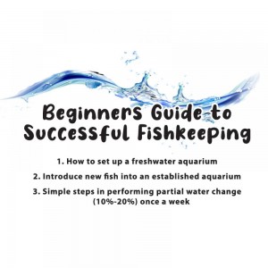 https://www.cty-fish.com/image/cache/blogs/beginners-guide-to-s-300x300.jpg
