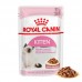 ROYAL CANIN KITTEN  WET POUCH 85G CTY