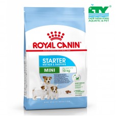 ROYAL CANIN STARTER MOTHER & BABYDOG 3KG CTY