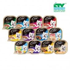 CESAR CHICKEN & CHEESE 100G CTY