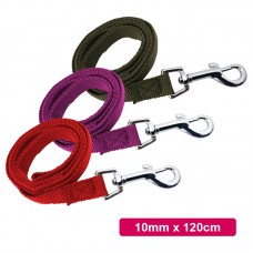 DOGLEMI NYLON DOG LEASH 10MMX120CM