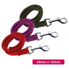 DOGLEMI NYLON DOG LEASH 20MMX120CM