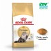 ROYAL CANIN CAT ADULT PERSIAN 30 400G CTY