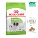 ROYAL CANIN ADULT X-SMALL 3KG CTY