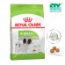 ROYAL CANIN ADULT X-SMALL 3KG CTY