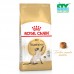 ROYAL CANIN ADULT SIAMESE 2KG  CTY