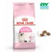 ROYAL CANIN KITTEN 36 2KG CTY