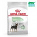 ROYAL CANIN MINI DIGESTIVE CARE 3KG CTY