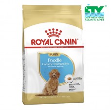 ROYAL CANIN POODLE PUPPY 3KG CTY