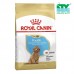 ROYAL CANIN POODLE PUPPY 3KG CTY